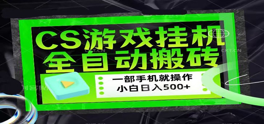CSGO游戏挂机捡漏搬砖，超稳定的项目，带领1000+小白实现日入500+-源创文化-衍智堂