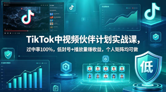 TikTok中视频伙伴计划实战课，过中率100%，低封号+播放量賺收益，个人矩阵均可做-源创文化-衍智堂