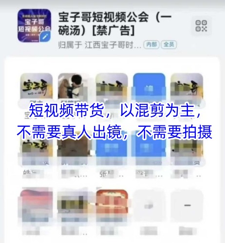 宝子哥头部团队短视频带货，以混剪为主，不需要真人出镜，不需要拍摄【更新26年3月】-源创文化-衍智堂