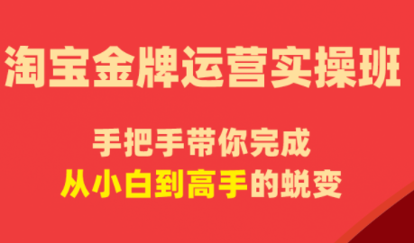 飓风电商·淘宝金牌运营实操班-源创文化-衍智堂