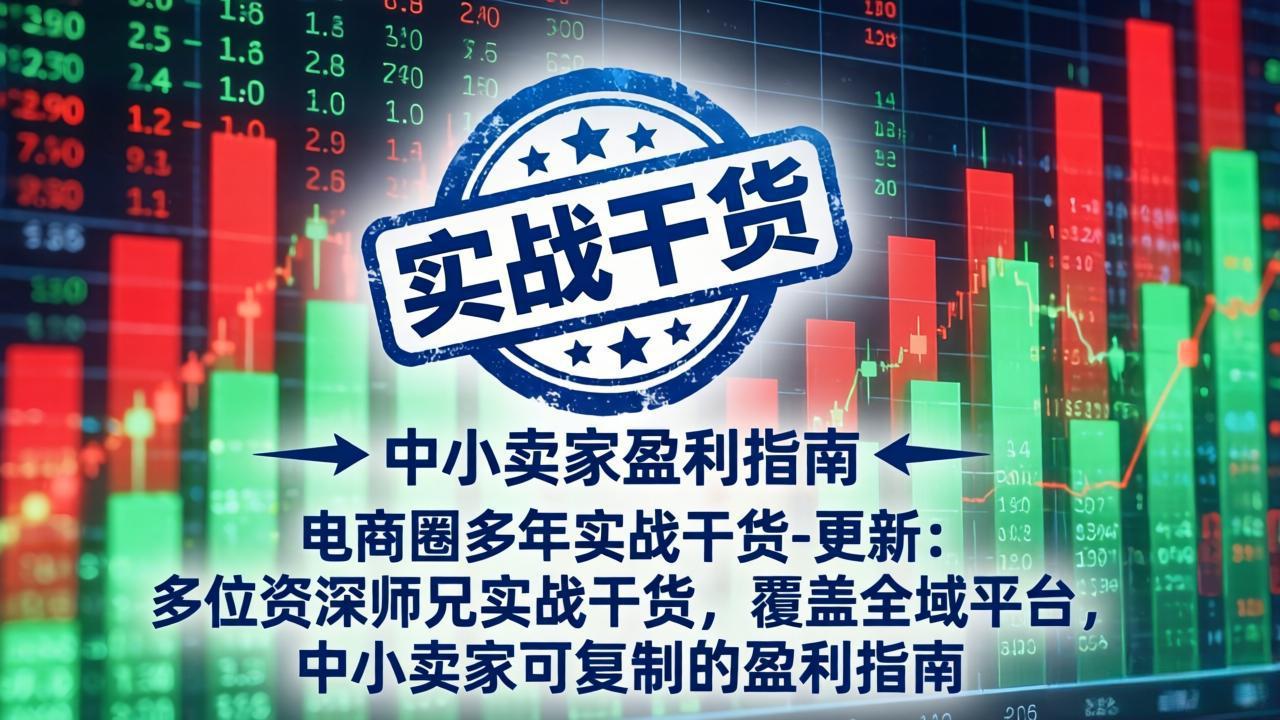 电商圈多年实战干货-更新5月10：多位资深师兄实战干货/覆盖全域平台，中小卖家可复制的盈利指南-源创文化-衍智堂