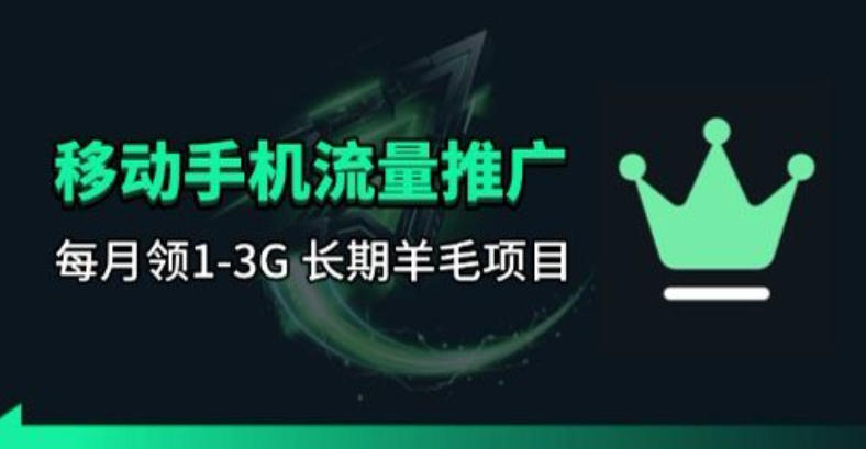手机流量领取推广_每月一轮，刚需类的长期项目-源创文化-衍智堂