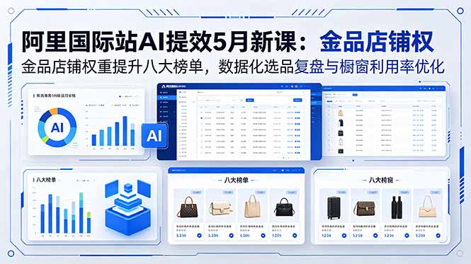 阿里国际站AI提效5月新课：金品店铺权重提升八大榜单，数据化选品复盘与橱窗利用率优化-源创文化-衍智堂