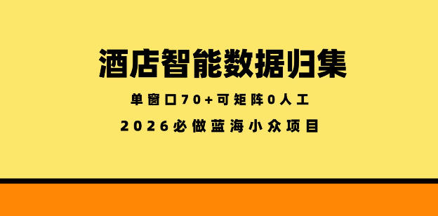 酒店智能数据归集，小众蓝海已经稳定半年之久，单窗口70+零成本矩阵开干【揭秘】-源创文化-衍智堂