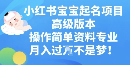 小红书宝宝起名项目高级版本，操作简单，资料专业，月入过W-源创文化-衍智堂