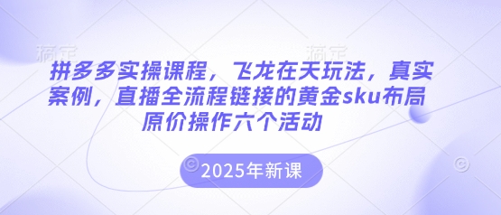 拼多多实操课程，飞龙在天玩法，真实案例，直播全流程链接的黄金sku布局原价操作六个活动-源创文化-衍智堂