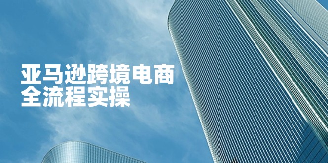 （14252期）亚马逊跨境电商全流程实操，教你从零开始，掌握店铺运营与广告技巧-源创文化-衍智堂