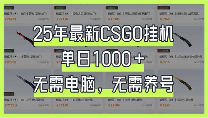 （14178期）25年最新CSGO挂机系统，单日1000+，无需电脑，无需养号，0基础可上手-源创文化-衍智堂