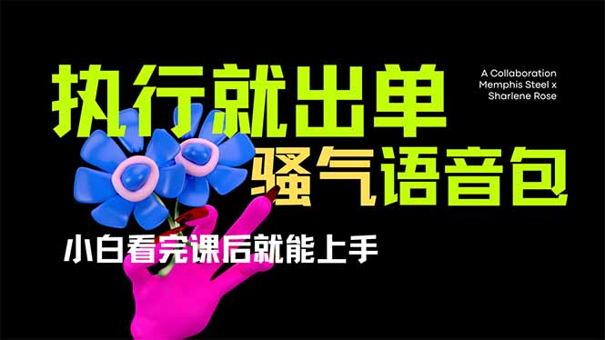 （14170期）爆火全网的开车导航骚气语音包,只要执行就出单，小白看完课程就能实操...-源创文化-衍智堂