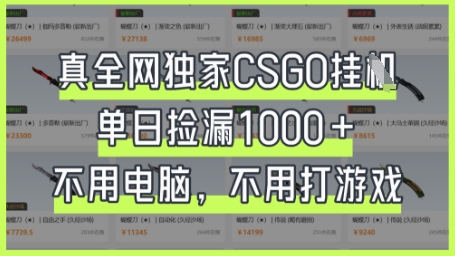 真全网独家CSGO挂G，单日捡漏1k+【揭秘】-源创文化-衍智堂