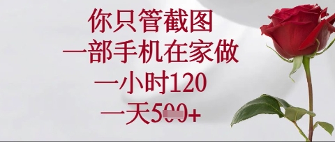你只管截图，一部手机在家操作，一小时120.一天5张【揭秘】-源创文化-衍智堂